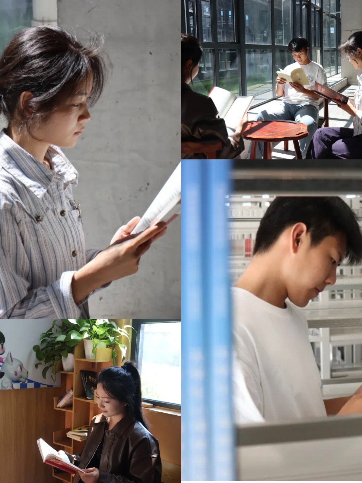 1765435277182467.jpg 微信图片_20251211142202_705_4.jpg